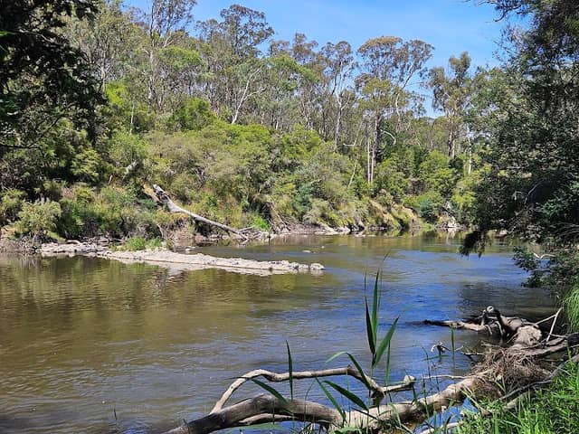 Warrandyte State Park - Jumping Creek Reserve - Image 1