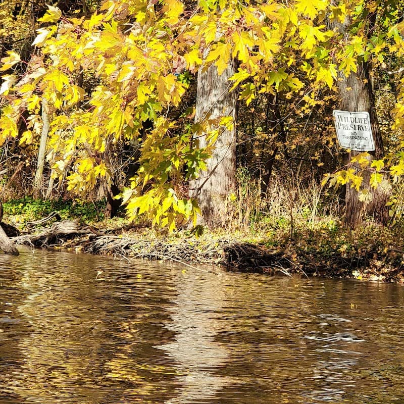 Dixon Nature Reserve - Image 3