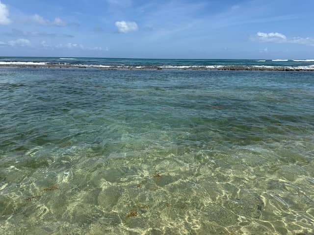 Playa Bastimento - Image 2
