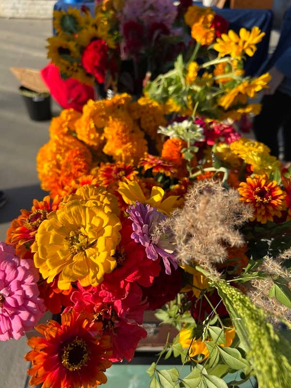 Mae Flowers Farm - Image 2