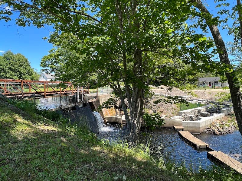 Bristol Mills Dam - Image 1