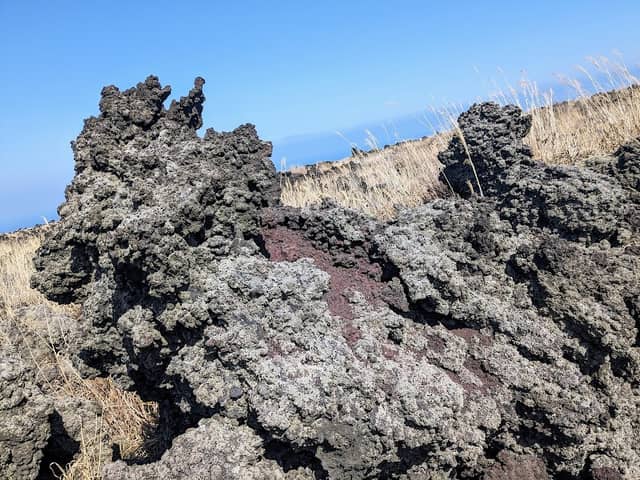 Geo Rock Garden / 1986 Lava Flows (LBⅠ) - Image 3