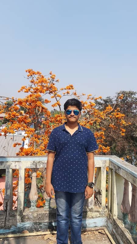 Palash Flower Tree - Image 1