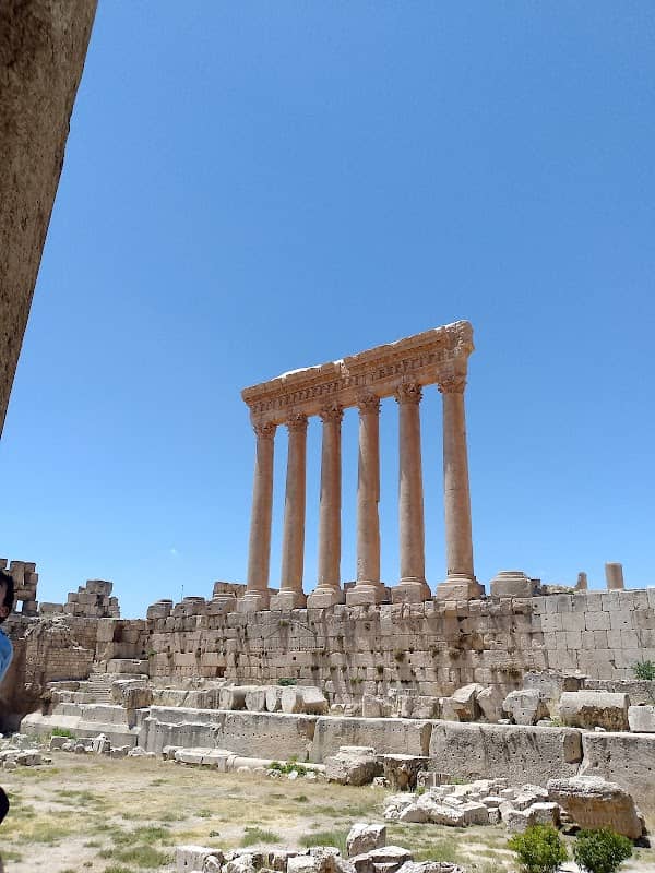 tell - Image 1