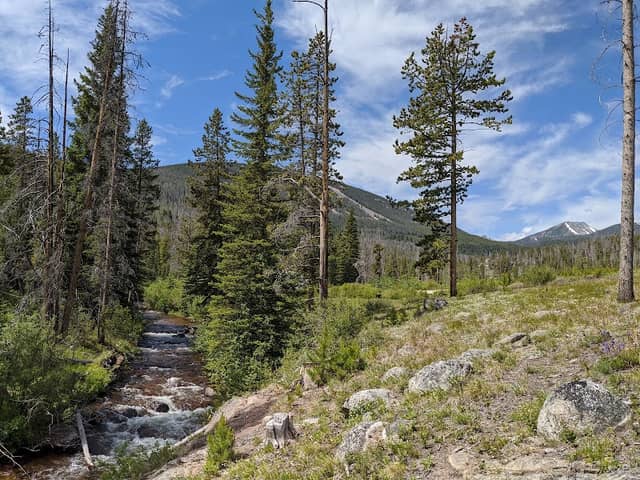 Dinner Campground - Image 1
