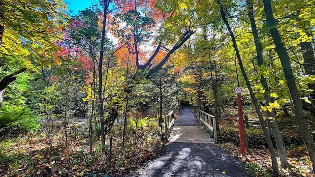Arboretum Gabrielis - Image 1