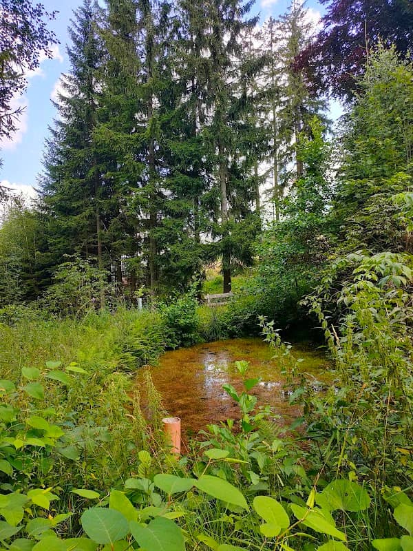Ringlesbrunnen - Image 2