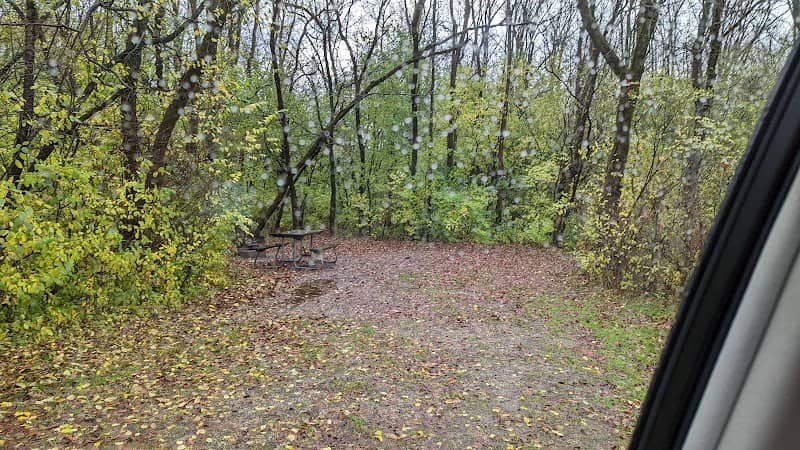 White Oak - Image 1