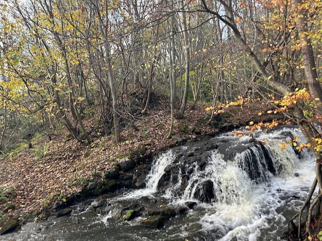 Mill Dam - Image 1