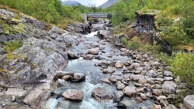 Small wooden bridge - Image 2