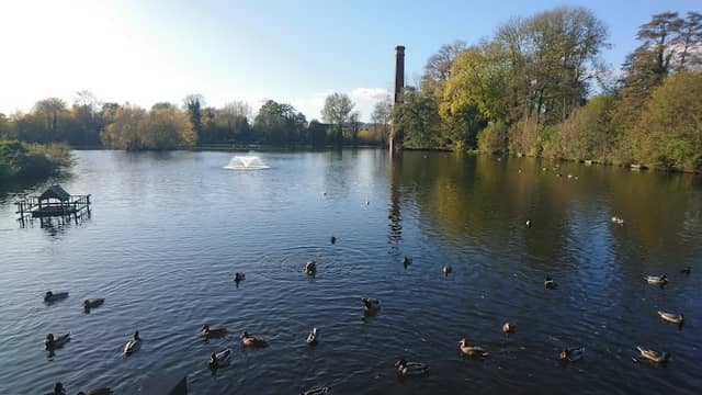Springfield Park - Image 1