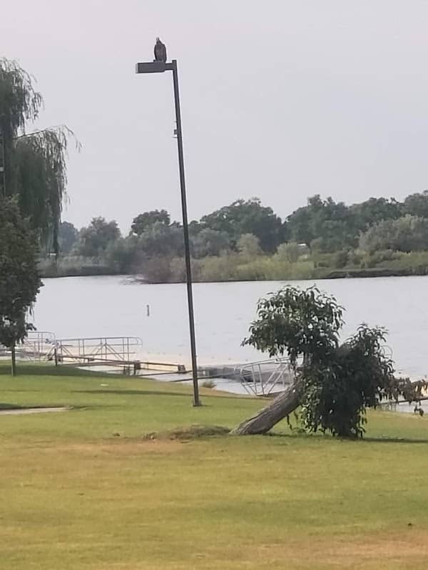 Burley Boat Docks - Image 1