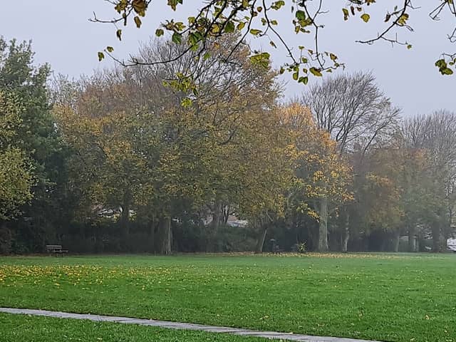 Victoria Park and playground - Image 1