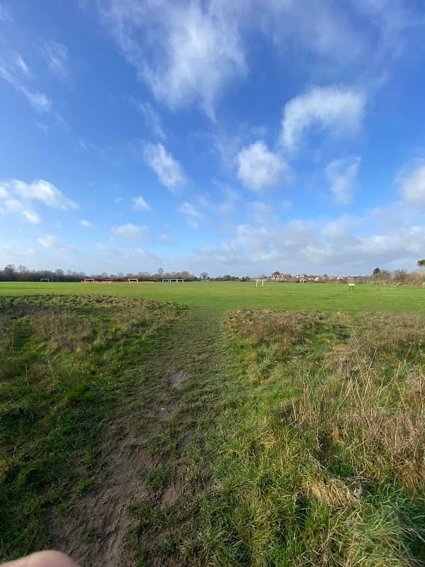 King's Field Orchard - Image 1