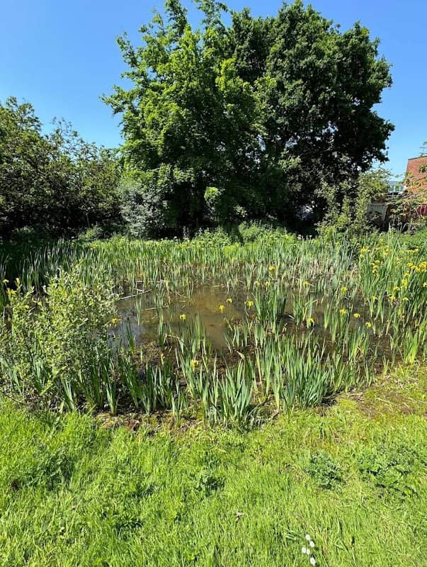 King's Field Orchard - Image 2