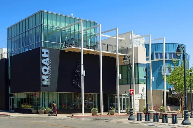 Museum of Art and History - Image 4