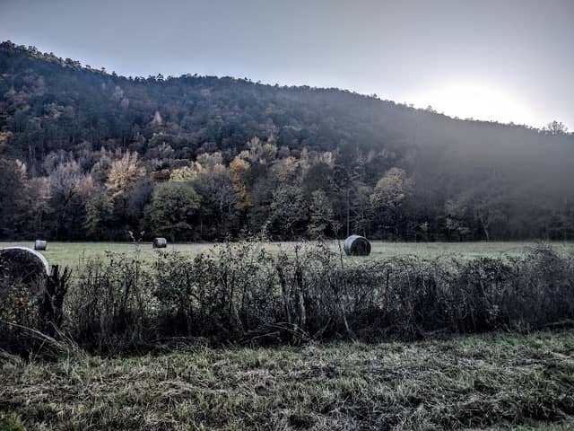 Fancy Hill Mountain - Image 2