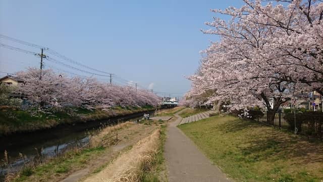 Yanagawa Park - Image 1