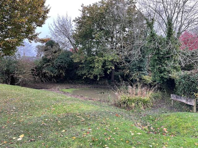 Willy Pit Pond - Image 2