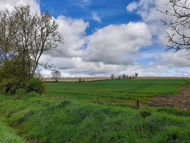 Boyne Valley to Lakelands County Greenway - Image 3