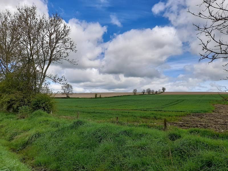 Boyne Valley to Lakelands County Greenway - Image 3