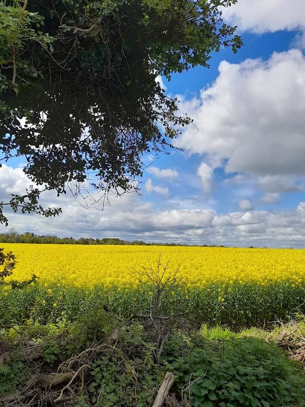 Boyne Valley to Lakelands County Greenway - Image 2