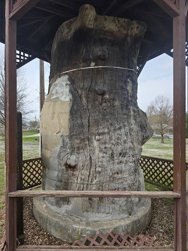 Worthington Park - Image 2