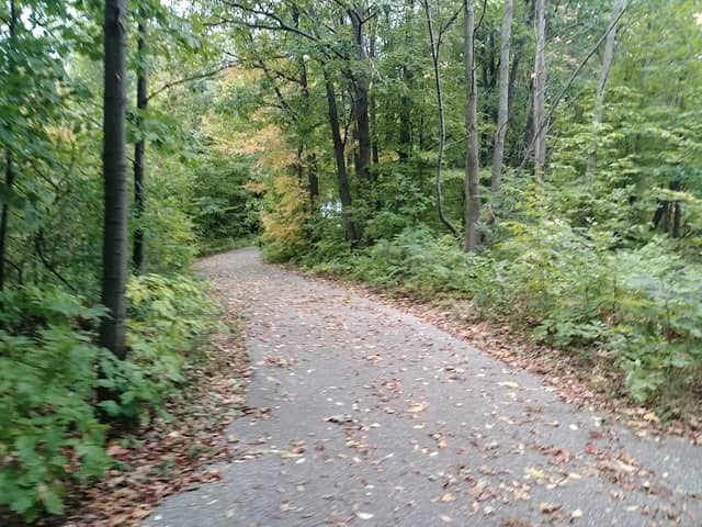 Charles Scott Memorial Park - Image 1