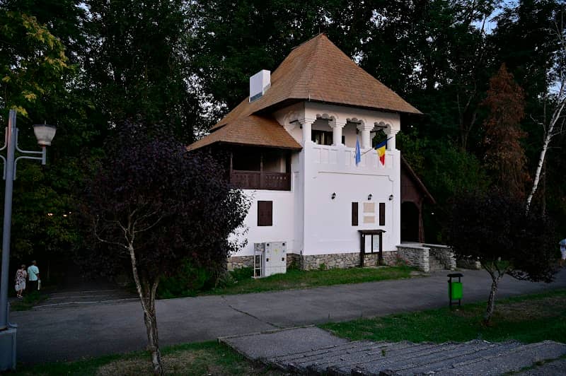Cula de pe digul Jiului - Image 1