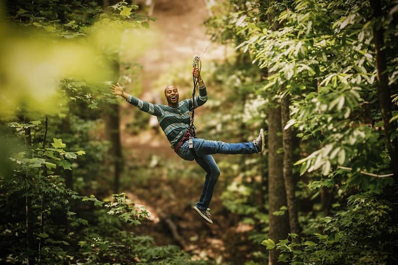 Go Ape Zipline and Adventure Park - Image 3