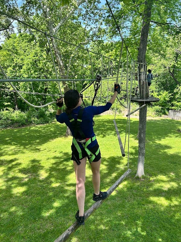 Go Ape Zipline and Adventure Park - Image 2