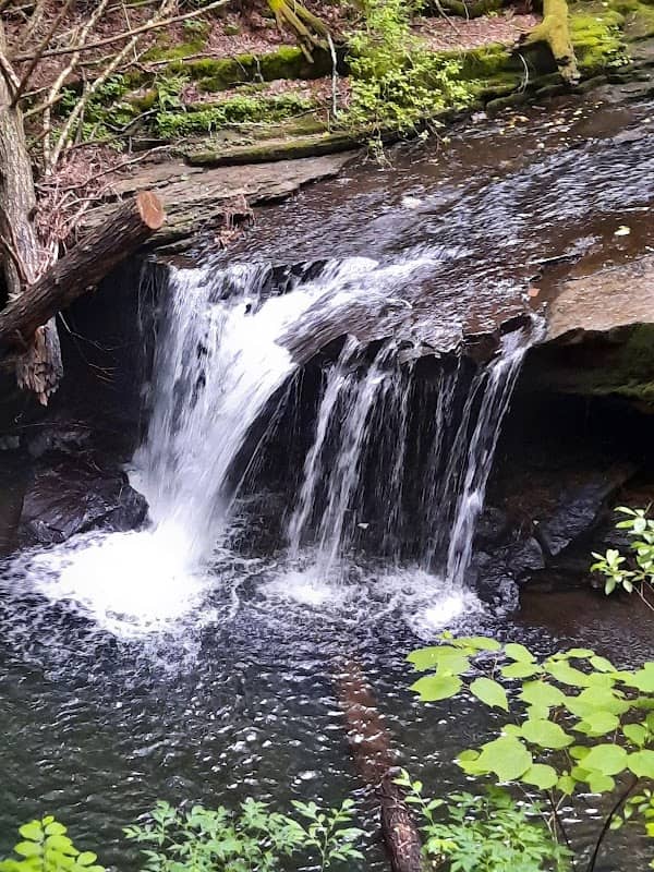 Sycamore Falls - Image 1