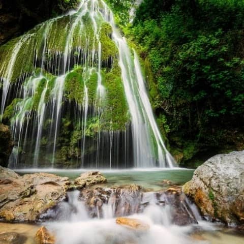 باغ تاریخ - Image 1