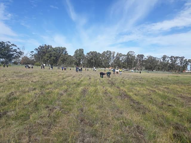 Canning Vale Gardens - Image 3
