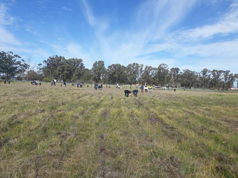 Canning Vale Gardens - Image 3