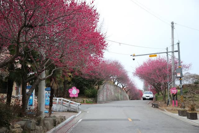 Maegokdong Tammae Village - Image 1