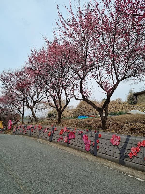 Maegokdong Tammae Village - Image 2