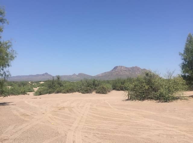 Hot Well Dunes Recreation Area - Image 1