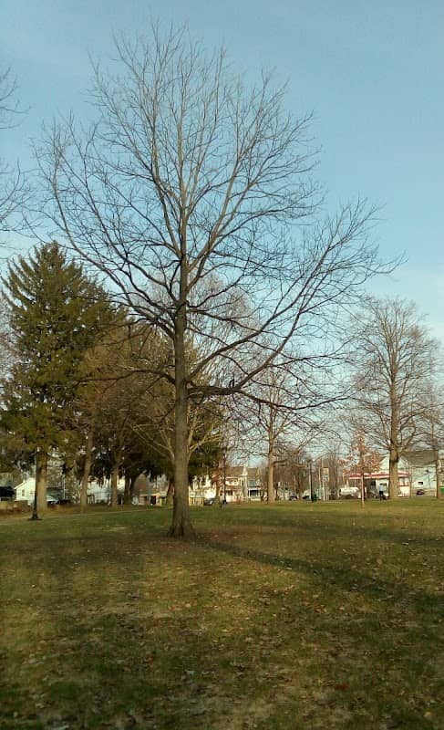 Fort Stanwix Park - Image 2