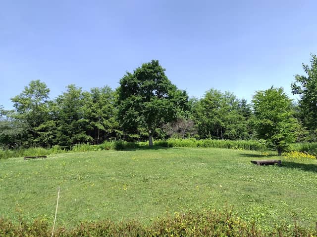 Bench Noaru Park - Image 1