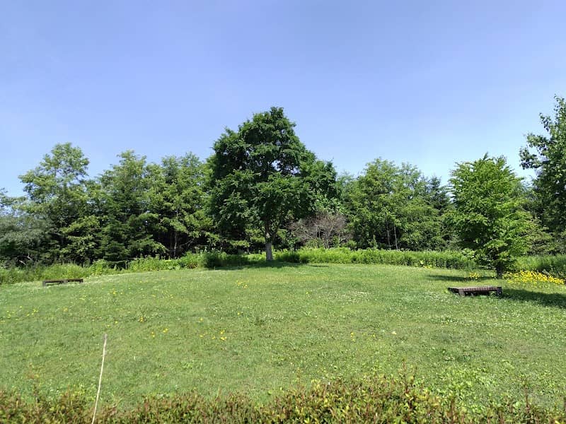 Bench Noaru Park - Image 1