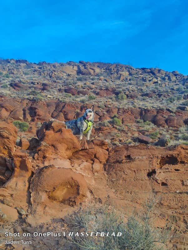 Quail Creek Ridge Trail - Image 2
