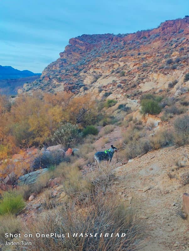 Quail Creek Ridge Trail - Image 1