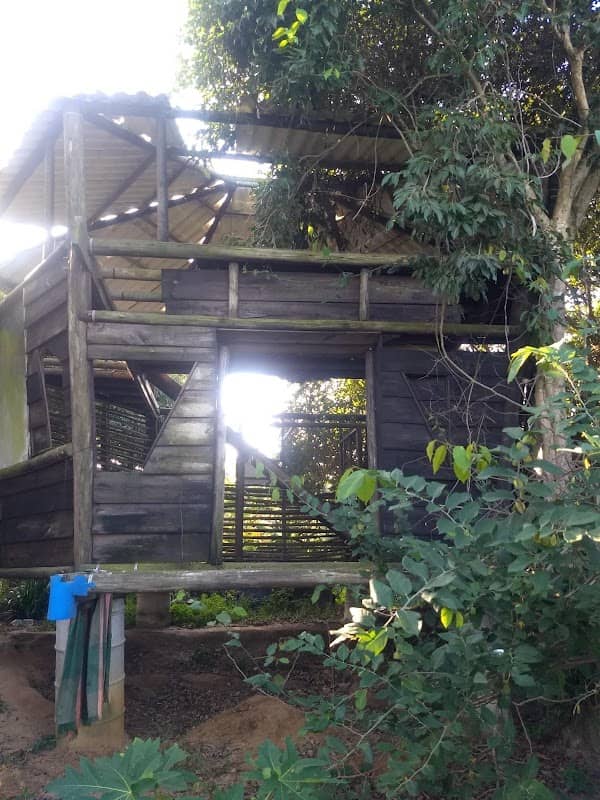 Cabana de Madeira (disco voador) - Image 1