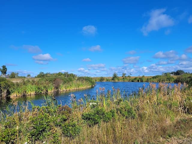 PRINCESS NATURE TRAIL - Image 2