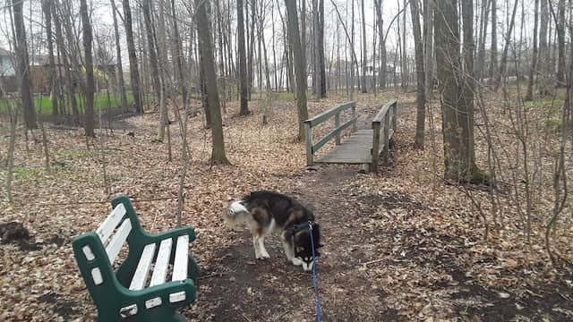 Harvey Fraser Nature Park - Image 2