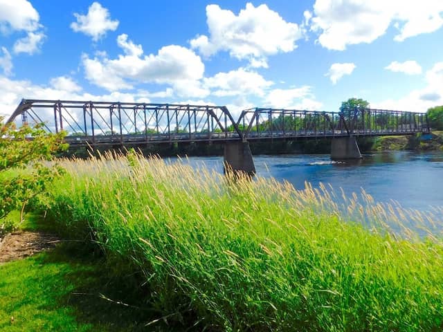 Chippewa River Trailhead - Image 2