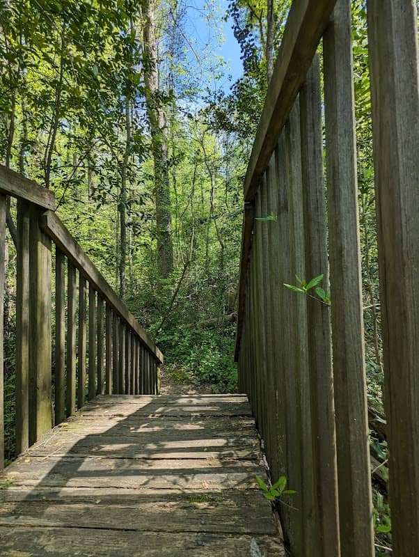 Blue Ridge Nature Trail - Image 2