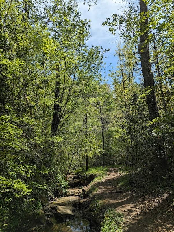 Blue Ridge Nature Trail - Image 1