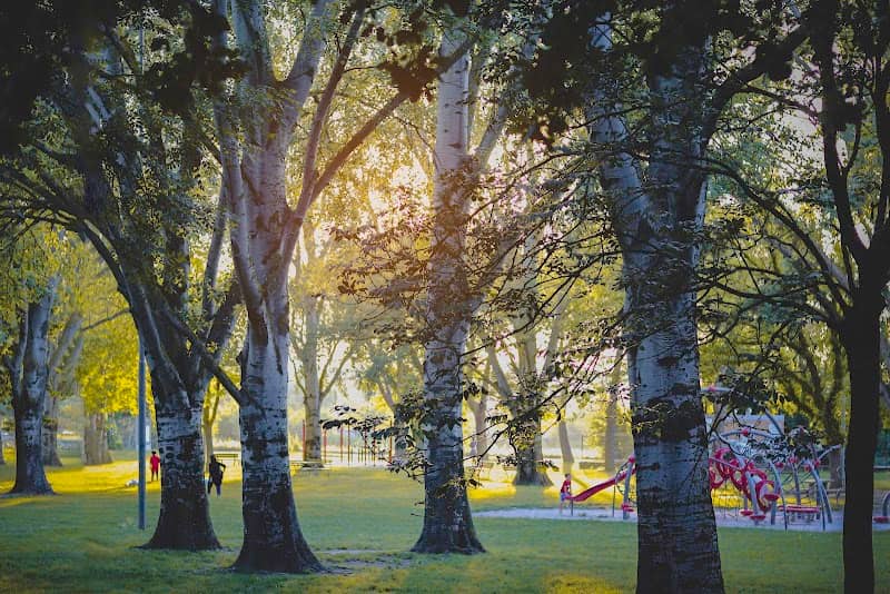 Parco Scarpellini - Image 1